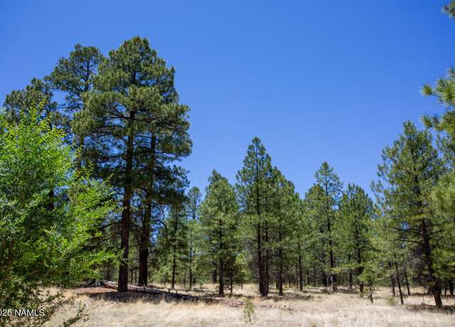 Property at 5330 N Nordica Loop, Flagstaff, AZ 86004