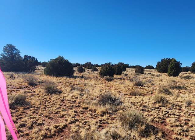 Property at 3372 E Valencia Rd Lot A, Williams, AZ 86046