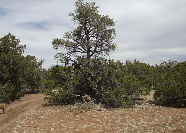 Property at 591 E Running Bear Rd, Williams, AZ 86046