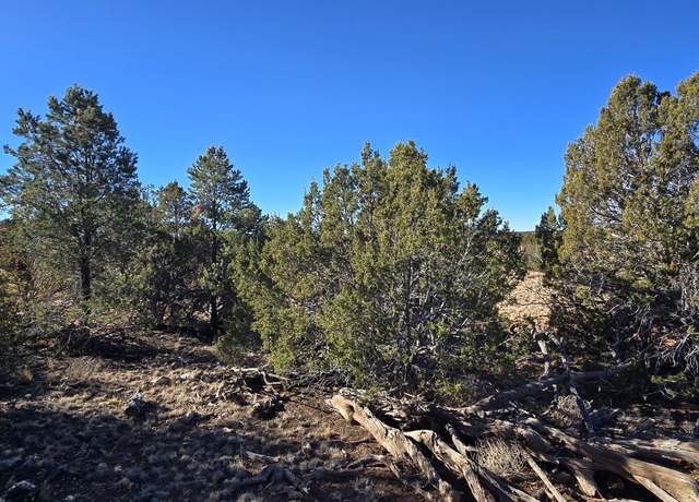 Property at 4519 Lasso Lot A, Williams, AZ 86046