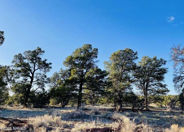Property at 5390 N Windy Walk Way, Williams, AZ 86046