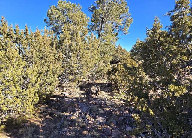 Property at 4519 Lasso Loop Unit B, Williams, AZ 86046