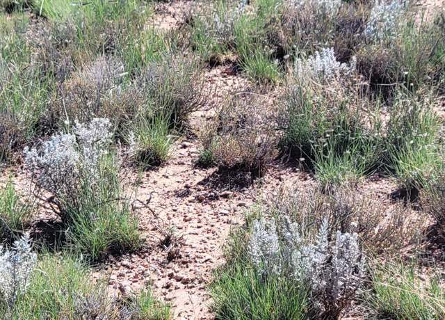 Property at 1777 S Lowell Dr, Williams, AZ 86046