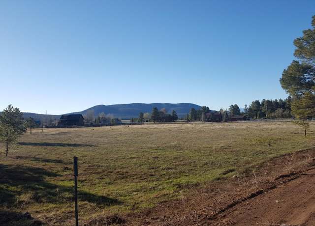 Property at 213 High Point Dr, Mormon Lake, AZ 86038