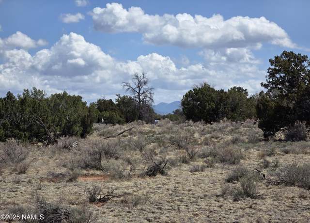 Property at Parcel # 50106027 / Wyandotte Rd, Williams, AZ 86046