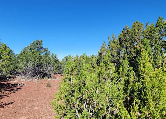 Property at 2394 E Fir St, Williams, AZ 86046