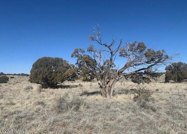 Property at 790 S Wyandotte Rd, Williams, AZ 86046