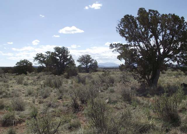 Property at 221 S Silver Oaks Dr, Williams, AZ 86046