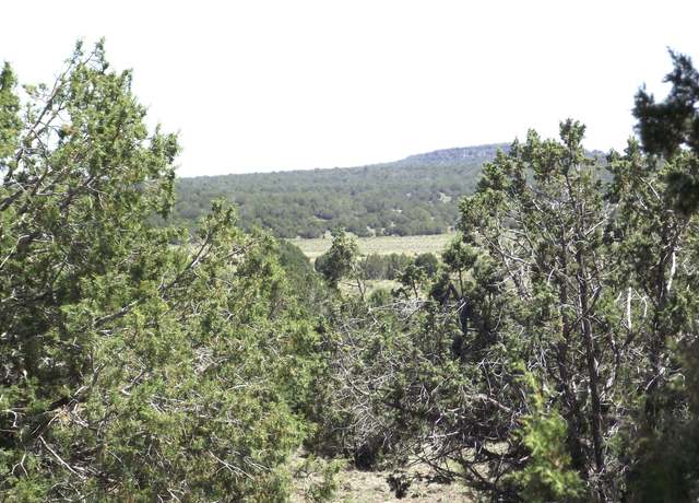 Property at 552 Stone Lake Blvd, Williams, AZ 86046