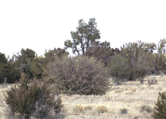 Property at 1255 W Half Hitch Rd, Williams, AZ 86046