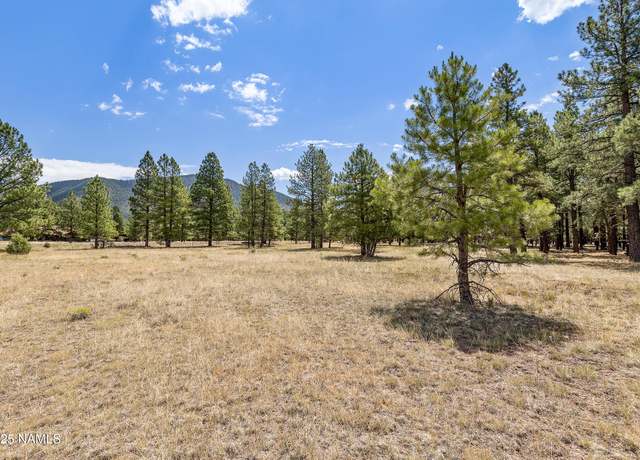 Property at 479 E Moonrise Valley Dr, Flagstaff, AZ 86001