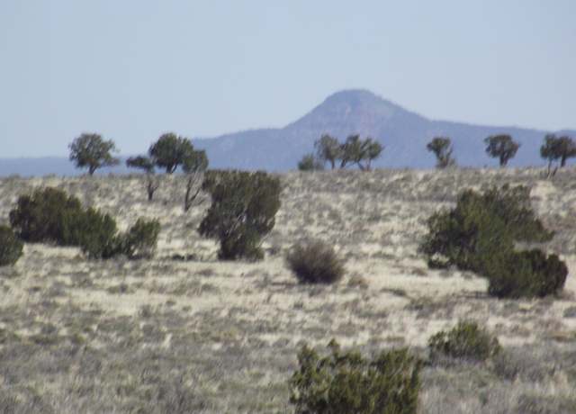 Property at 6366 S Smoketree Rd #297, Williams, AZ 86046
