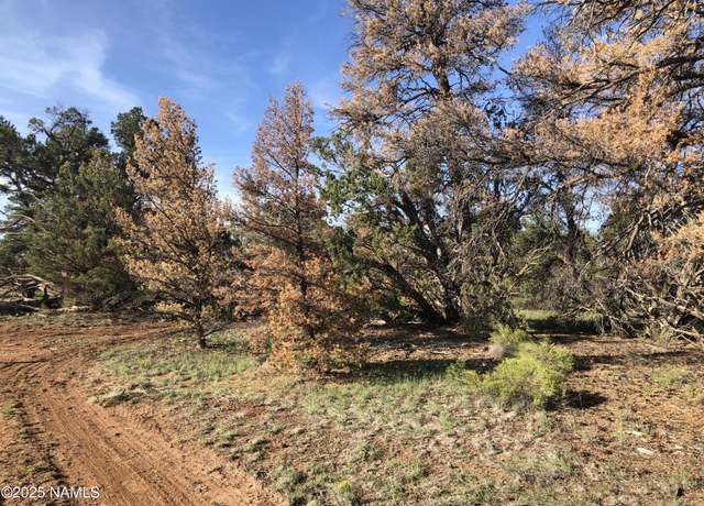 Property at 5375 N Bull Run Rd, Williams, AZ 86046