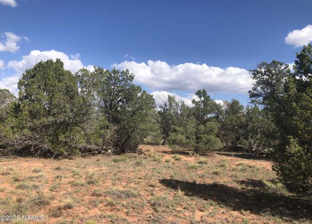 Property at 5375 N Bull Run Rd, Williams, AZ 86046