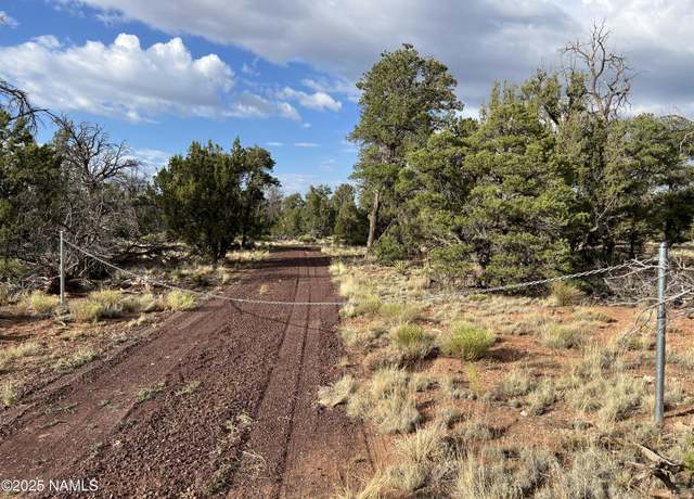 Property at 5375 N Bull Run Rd, Williams, AZ 86046
