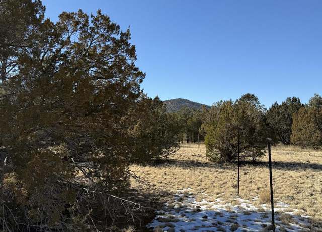 Property at 7399 N 8 Mile Blvd, Williams, AZ 86046