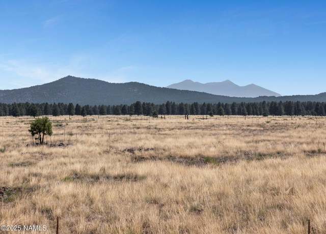 Property at 13373 E Dog Haven Pl, Parks, AZ 86018