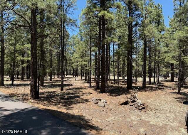 Property at 6365 River Dr, Flagstaff, AZ 86004