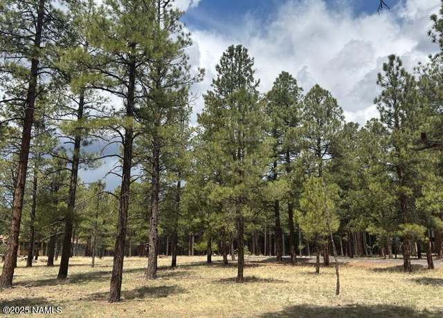 Property at Lot 1 Hattie Greene, Flagstaff, AZ 86001