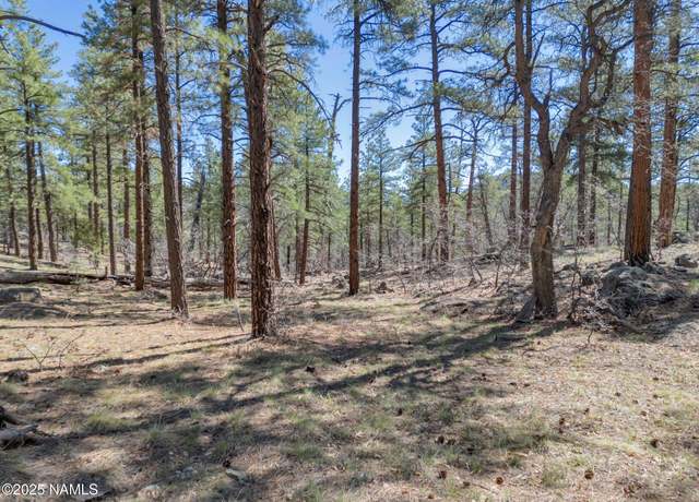 Property at 1642 Canyon View Loop, Williams, AZ 86046
