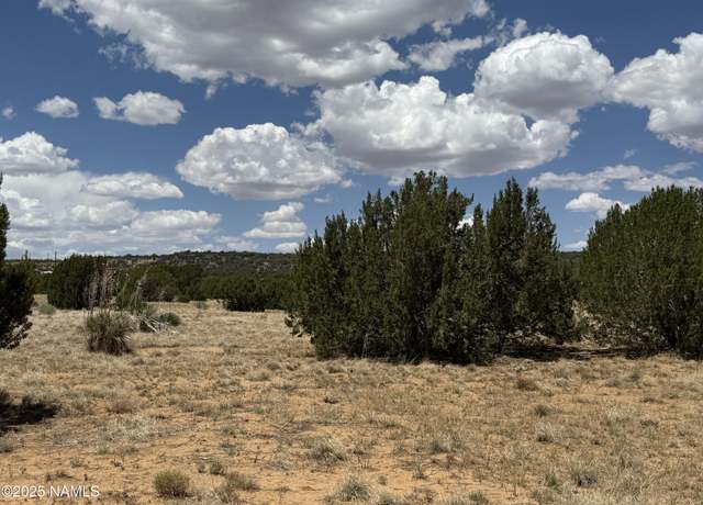Property at Lot 393 Country Ln, Concho, AZ 85924