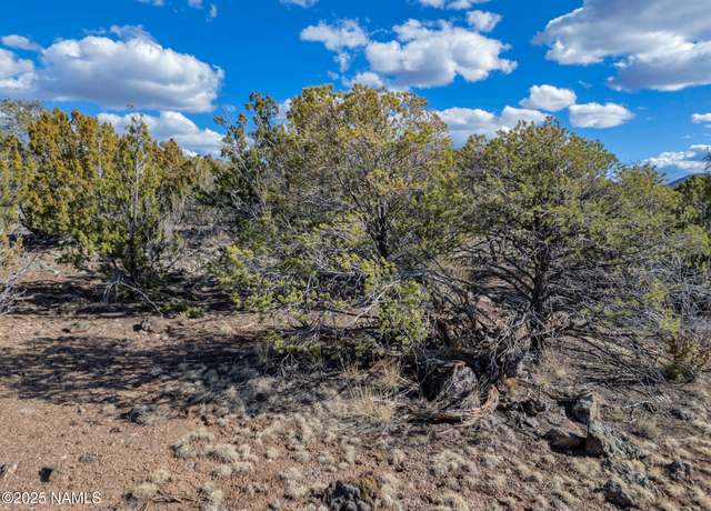 Property at 804 E Bighorn Trl, Williams, AZ 86046