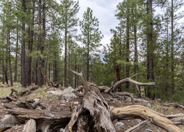 Property at 1191 S Herold Rnch Rd, Flagstaff, AZ 86004