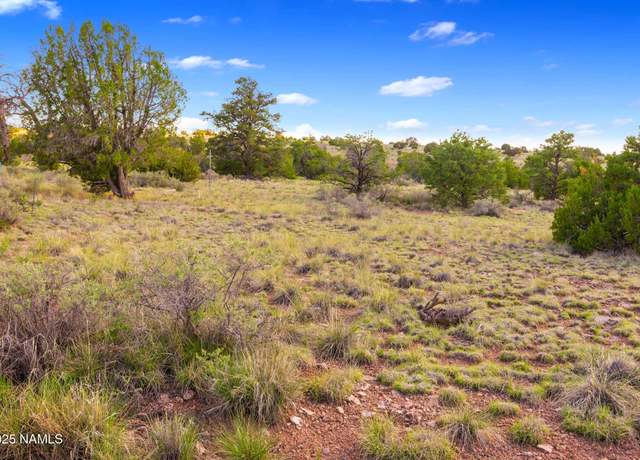Property at 212 S Palmetto Rd, Williams, AZ 86046