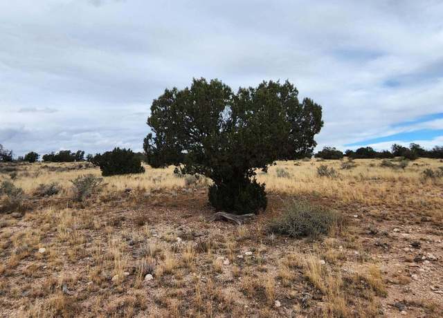 Property at 5184 S Starlit Trl, Williams, AZ 86046