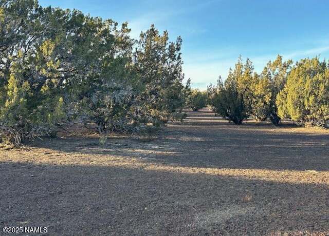 Property at 303-23-020 Alpine Rnch, Flagstaff, AZ 86004