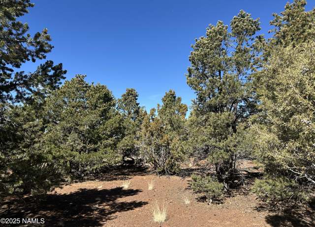 Property at 10379 N Overlook Dr, Williams, AZ 86046