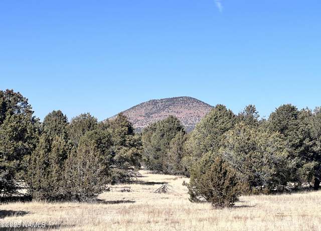 Property at 7223 Daisy Dr, Williams, AZ 86046