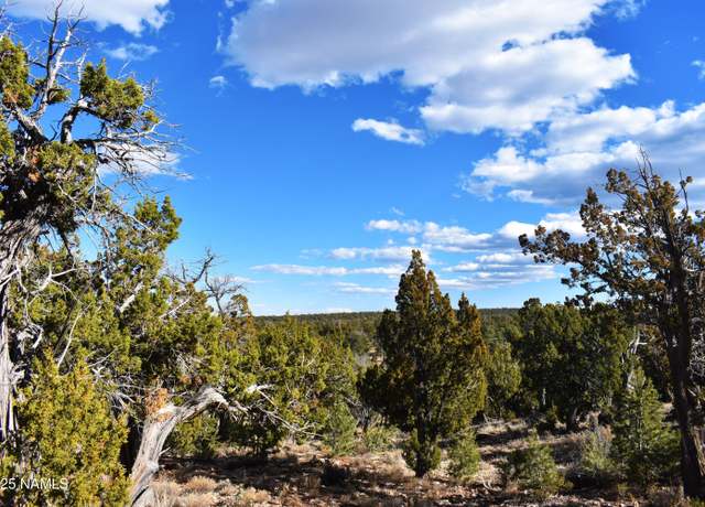 Property at 4367 Sunset Rdg, Happy Jack, AZ 86024