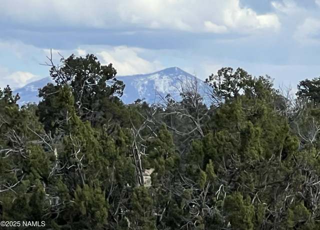 Property at 9558 Bird Dog Cir, Williams, AZ 86046