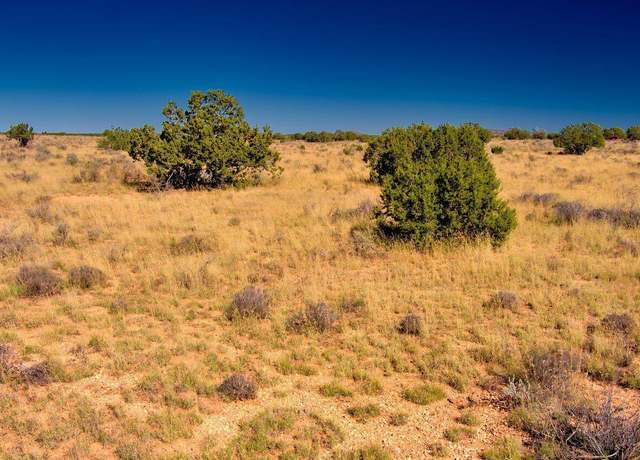 Property at 3160 Laurence Dr, Williams, AZ 86046
