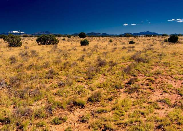 Property at 3196 Laurence Dr, Williams, AZ 86046