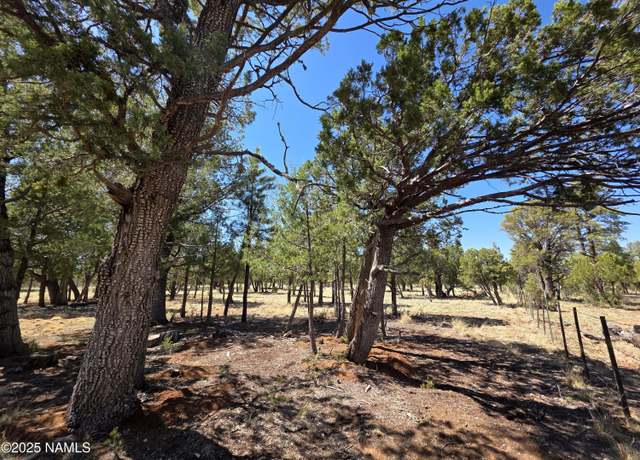 Property at 3874 Durango Dr, Happy Jack, AZ 86024