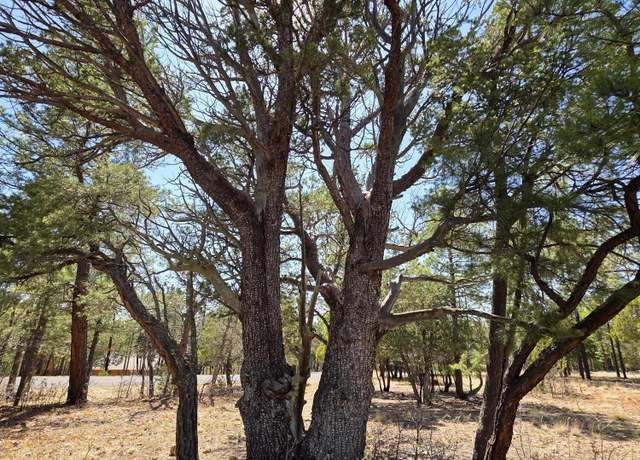 Property at 3286 Roundup Ln, Happy Jack, AZ 86024