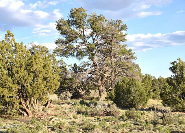 Property at 3391 E Indian Meadows Rd #44, Williams, AZ 86046