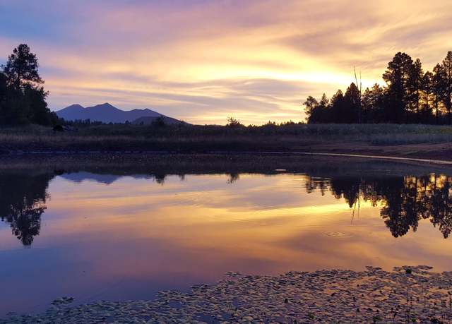 Property at 6812 W Soggy Bottom Ranch Rd, Flagstaff, AZ 86001