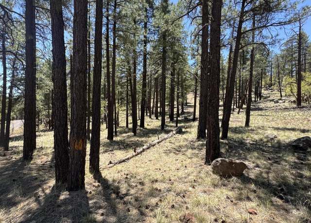 Property at 1575 Pine Meadow Dr, Williams, AZ 86046