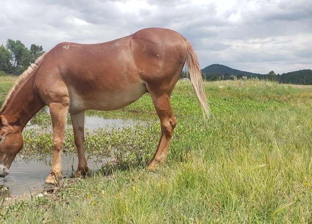 Property at 7764 E Old Route 66, Williams, AZ 86046