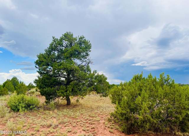 Property at Xxxx Lasso Loop, Williams, AZ 86046