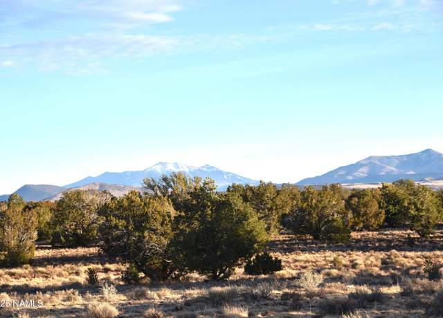 Property at 9075 Bird Dog Cir, Williams, AZ 86046