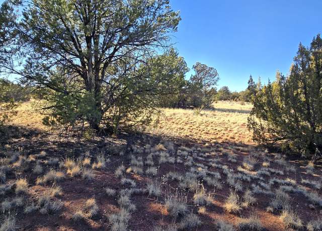 Property at 2693 S Carmella Dr, Williams, AZ 86046