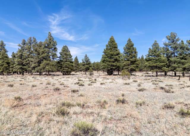 Property at 10440 Forest Service Rd 144, Parks, AZ 86018