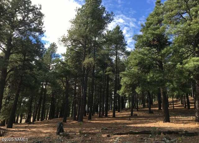 Property at 9245 Coyote Pass, Flagstaff, AZ 86001