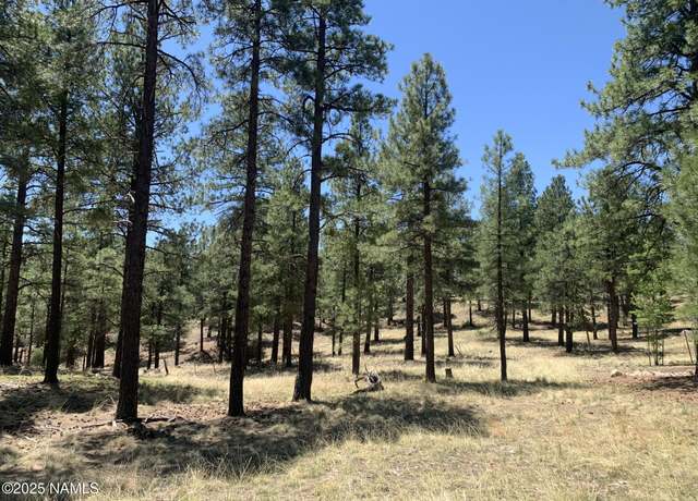 Property at 2343 E Del Rae Dr, Flagstaff, AZ 86005