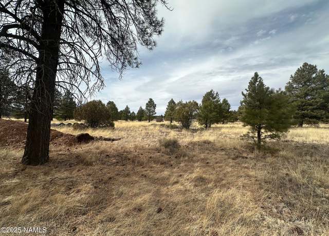Property at 3480 E Mountain Man Trl, Williams, AZ 86046