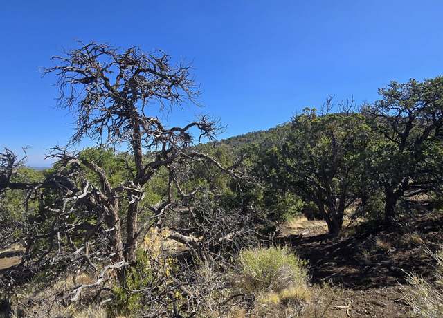 Property at 00 Unkown St, Williams, AZ 86046